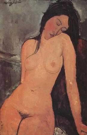Amedeo Modigliani Nude (nn03) oil painting image